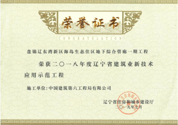 15、2018年：盘锦辽东湾新区海岛生态住区地下综合管廊一期工程荣获2018年度辽宁省修建业新手艺应用树模工程.jpg